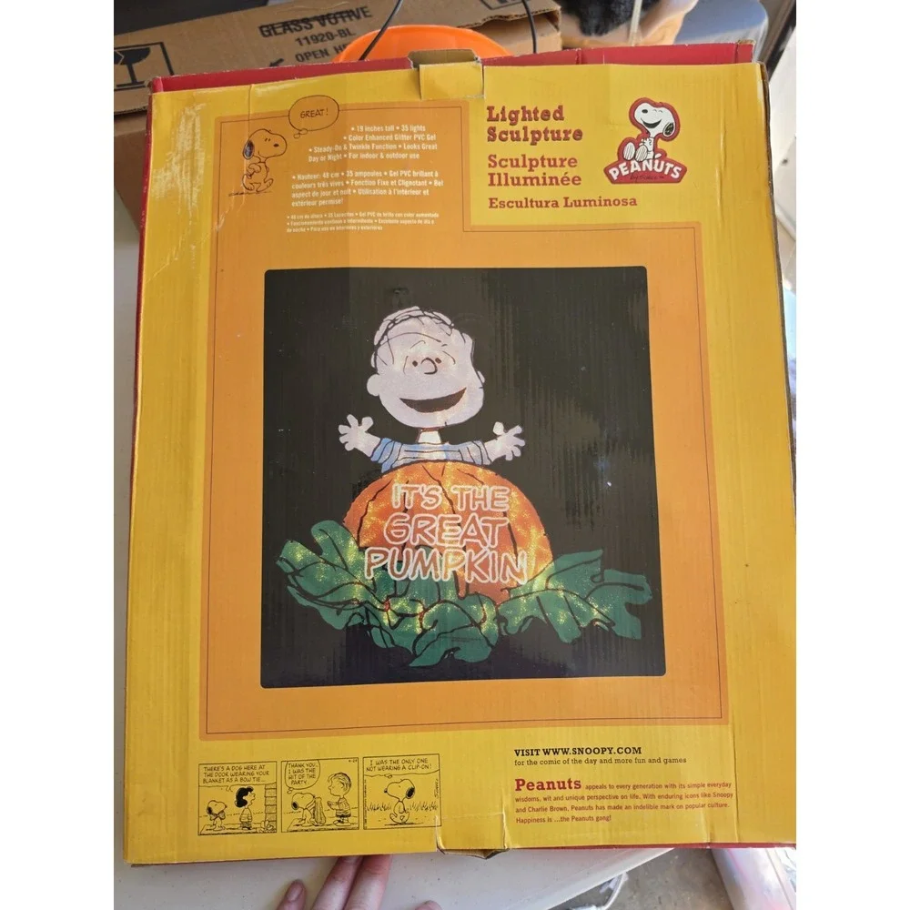 Peanuts Christmas 15